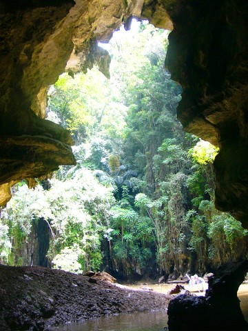 hong 2